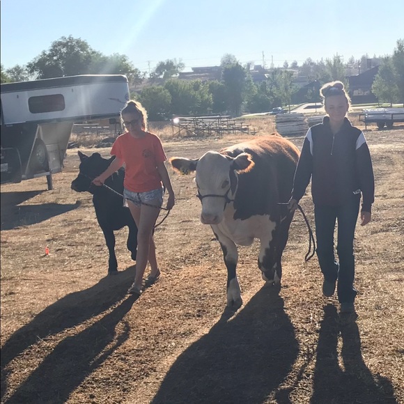 Meet your Posher, Kaycee - Picture 1 of 1